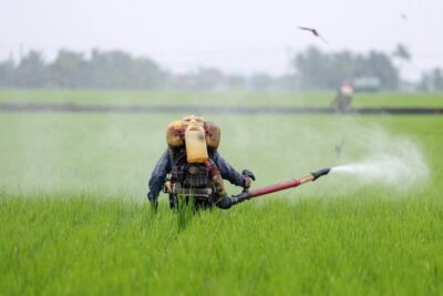 fertilizzanti-guerra-medio-oriente-prezzi-supermercato