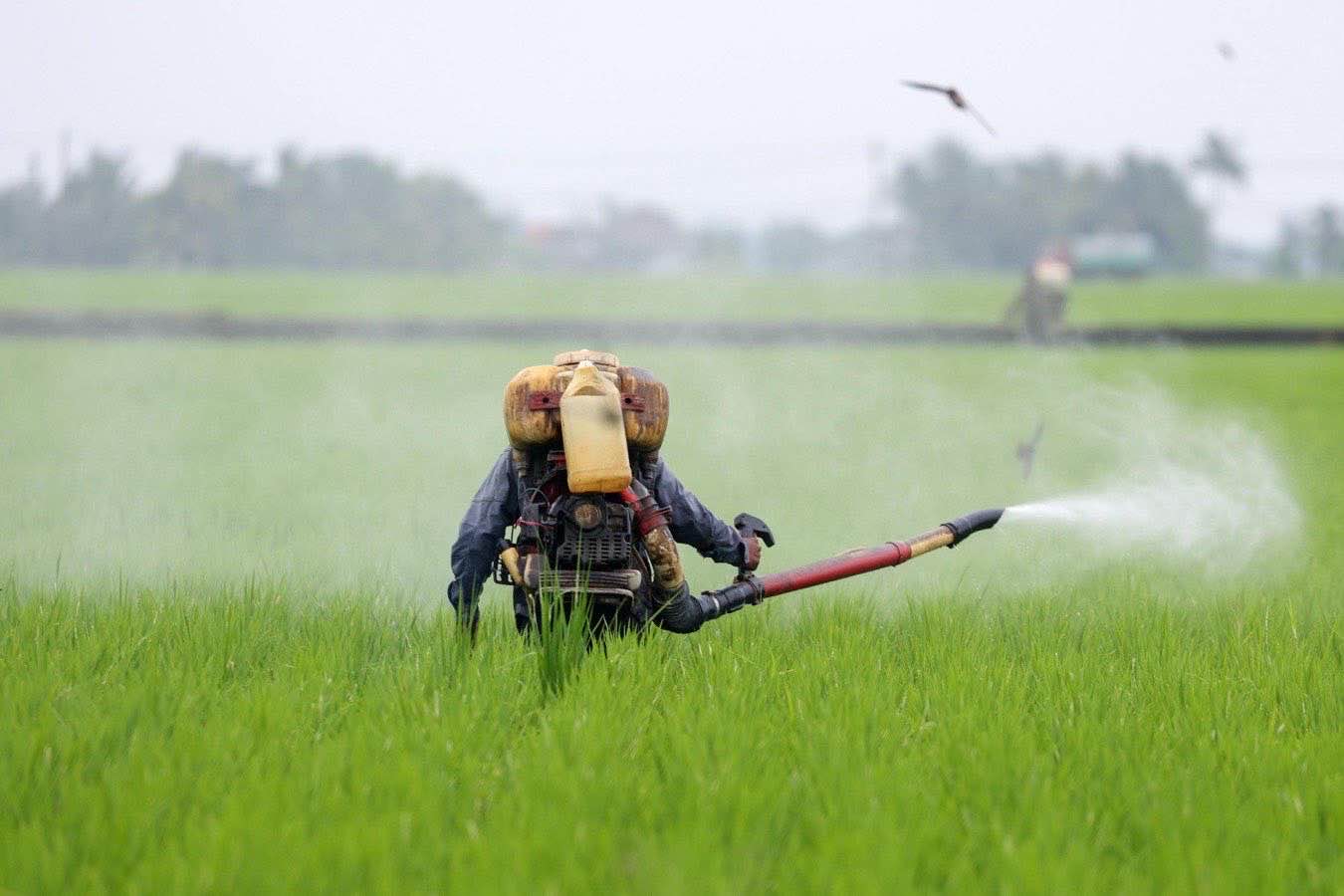 fertilizzanti-guerra-medio-oriente-prezzi-supermercato