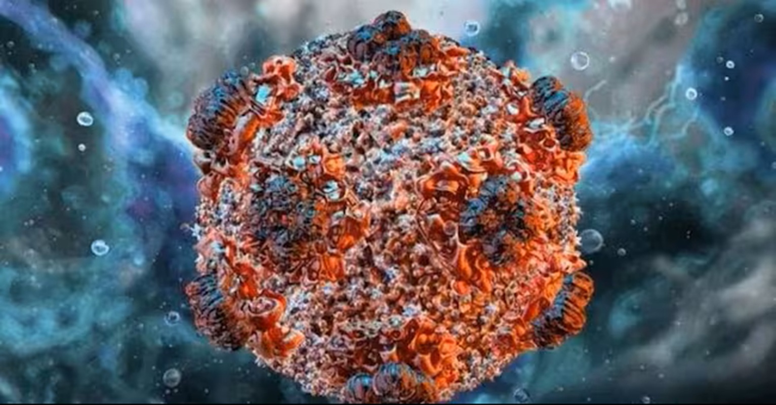 hantavirus pandemia contagio covid