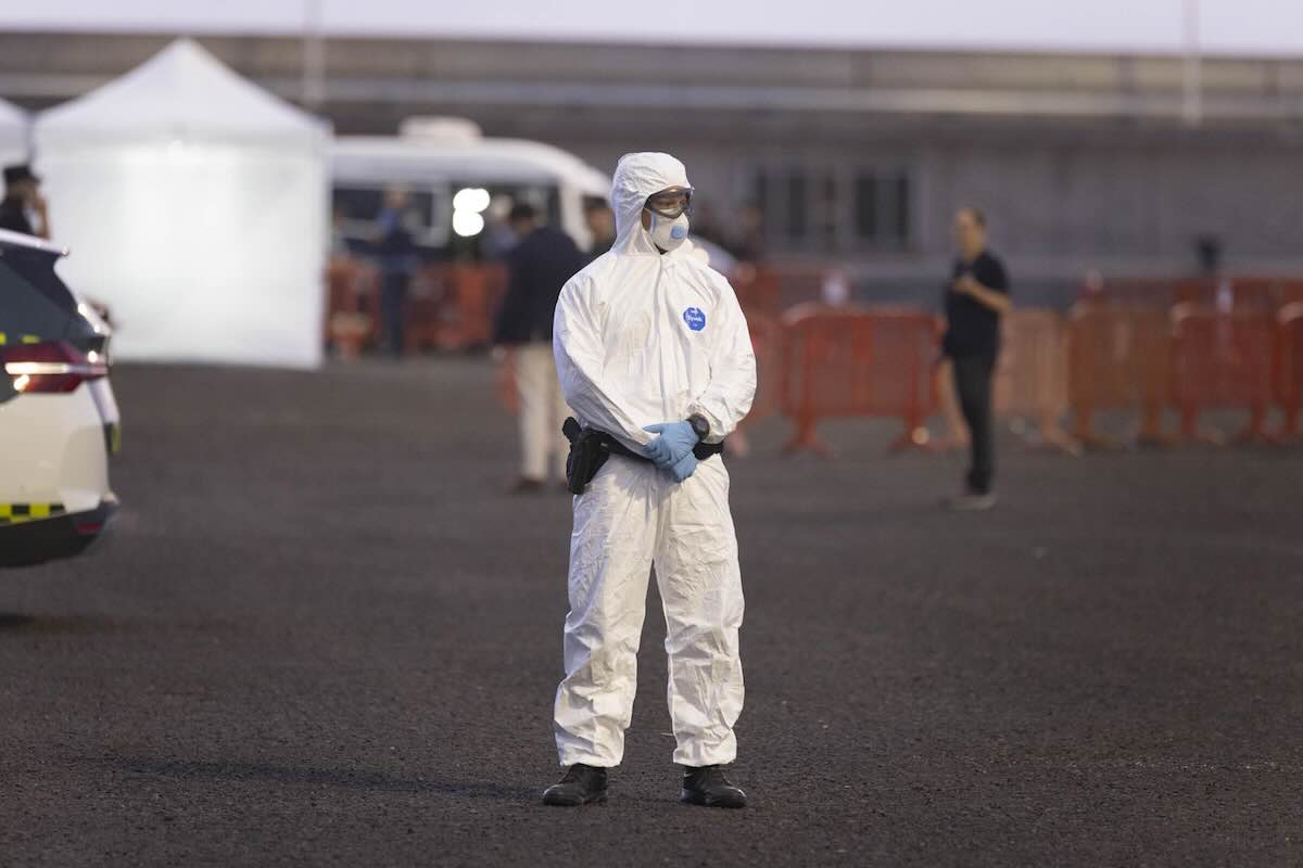 hantavirus tenerife