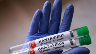hantavirus vaccino esiste rna