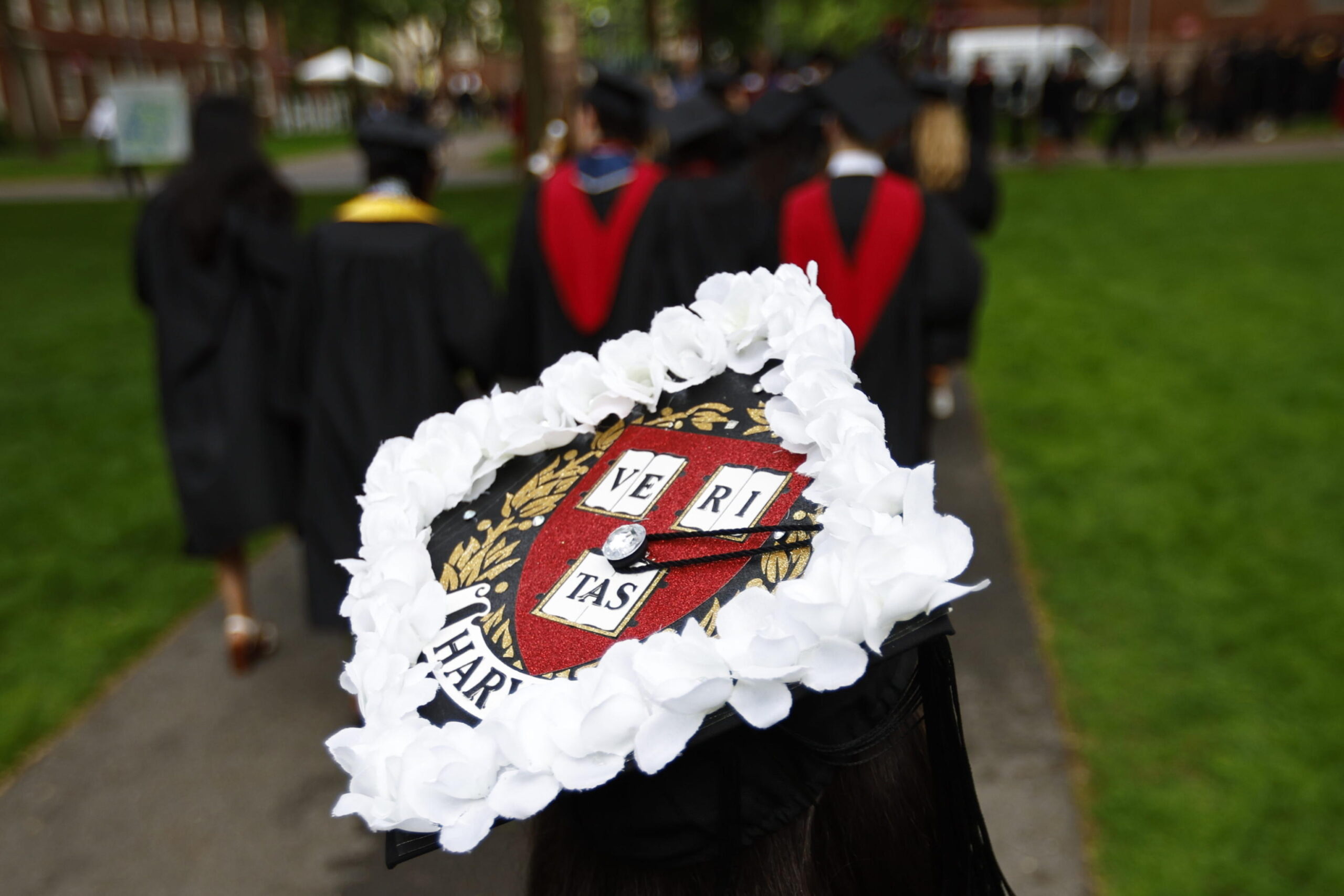 harvard voti alti