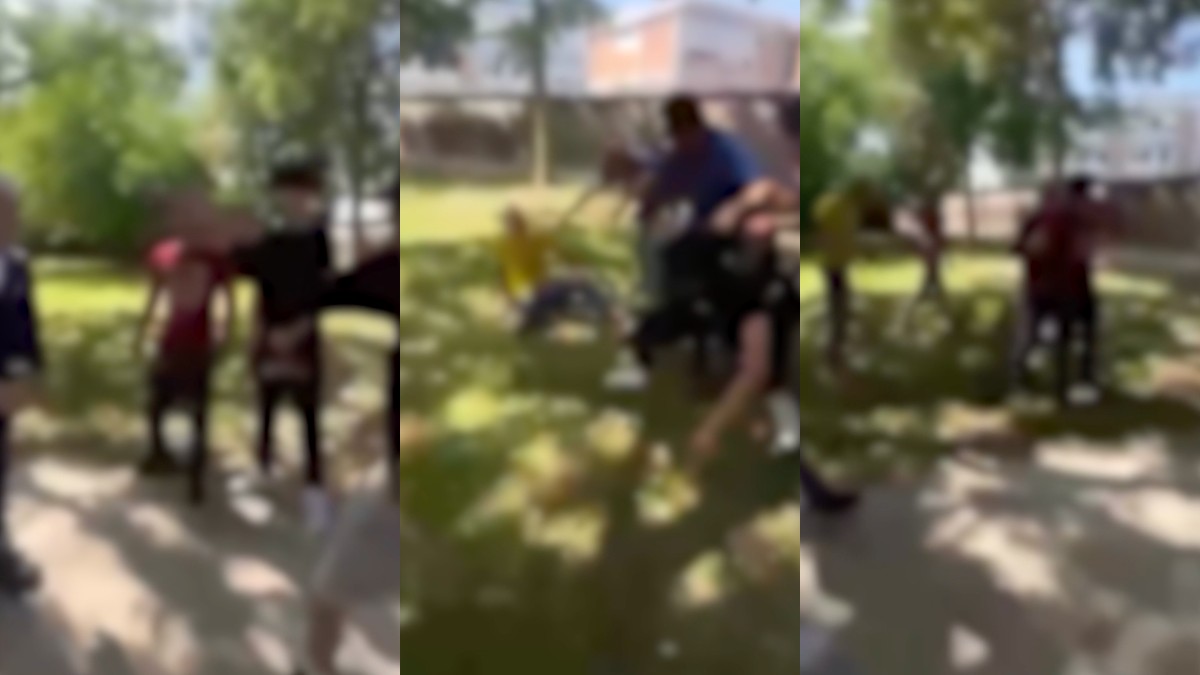 Parma. docenti aggrediti