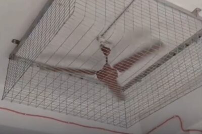 ventilatori india gabbie contro i suicidi