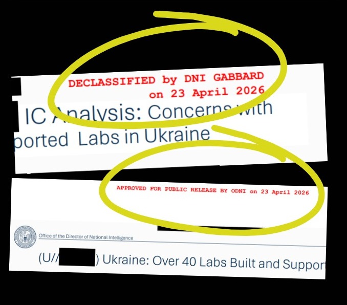 Confronto tra le diciture in calce alle slide ODNI, DECLASSIFIED by DNI Gabbard sulla slide dell'analisi di intelligence e APPROVED FOR PUBLIC RELEASE BY ODNI sulle altre slide