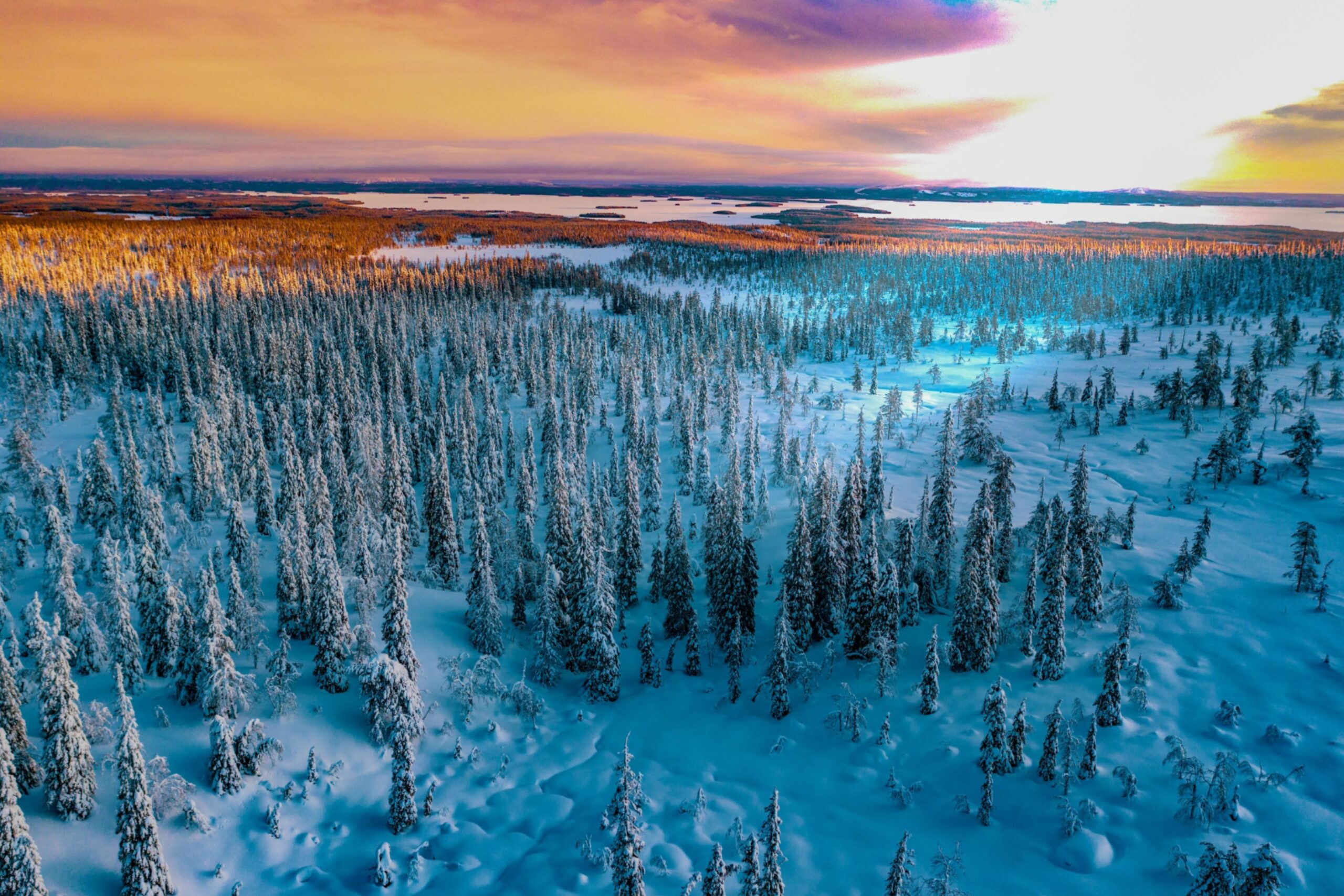 Finlandia caccia la tesoro