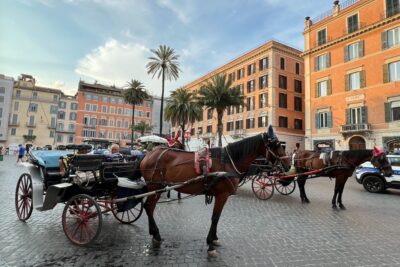 Roma licenze delle botticelle convertite in taxi e NCC