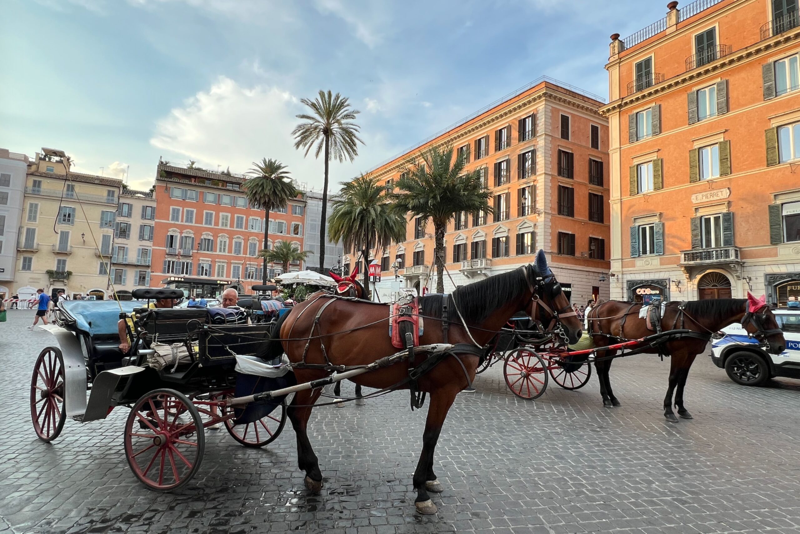 Roma licenze delle botticelle convertite in taxi e NCC