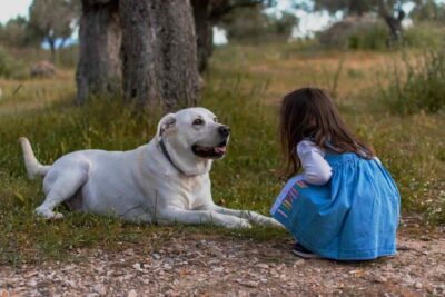 animali domestici