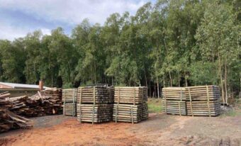deforestazione-ue-consumi-italia-report