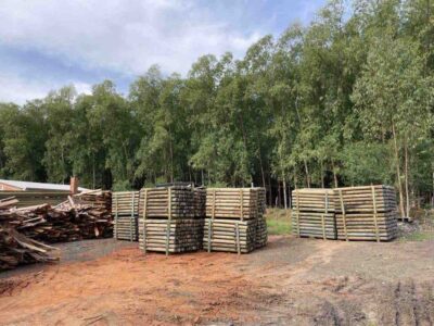 deforestazione-ue-consumi-italia-report