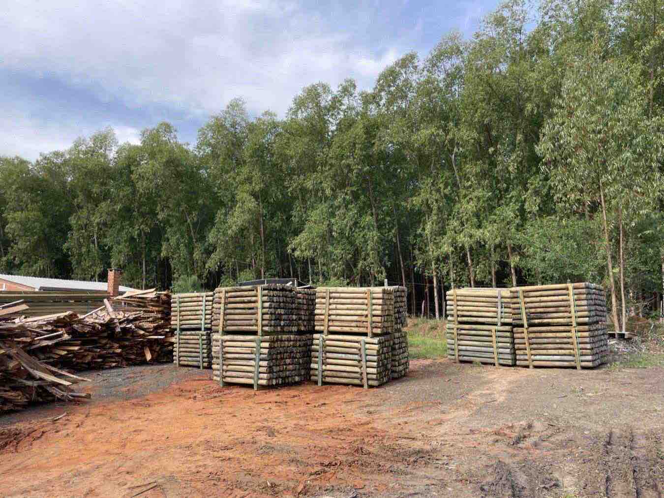deforestazione-ue-consumi-italia-report