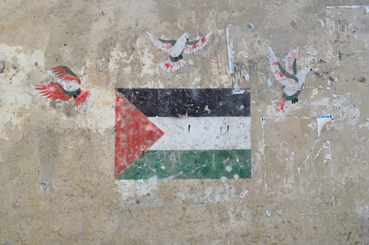 https://static.open.online/wp-content/uploads/2026/06/modena-free-palestine.jpg