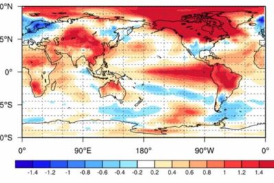 caldo record morti cosa succede