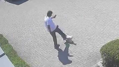 postino dà un calcio al cane