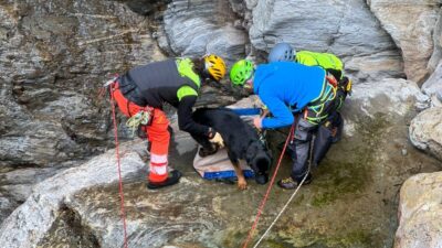 cane salvato soccorso alpino