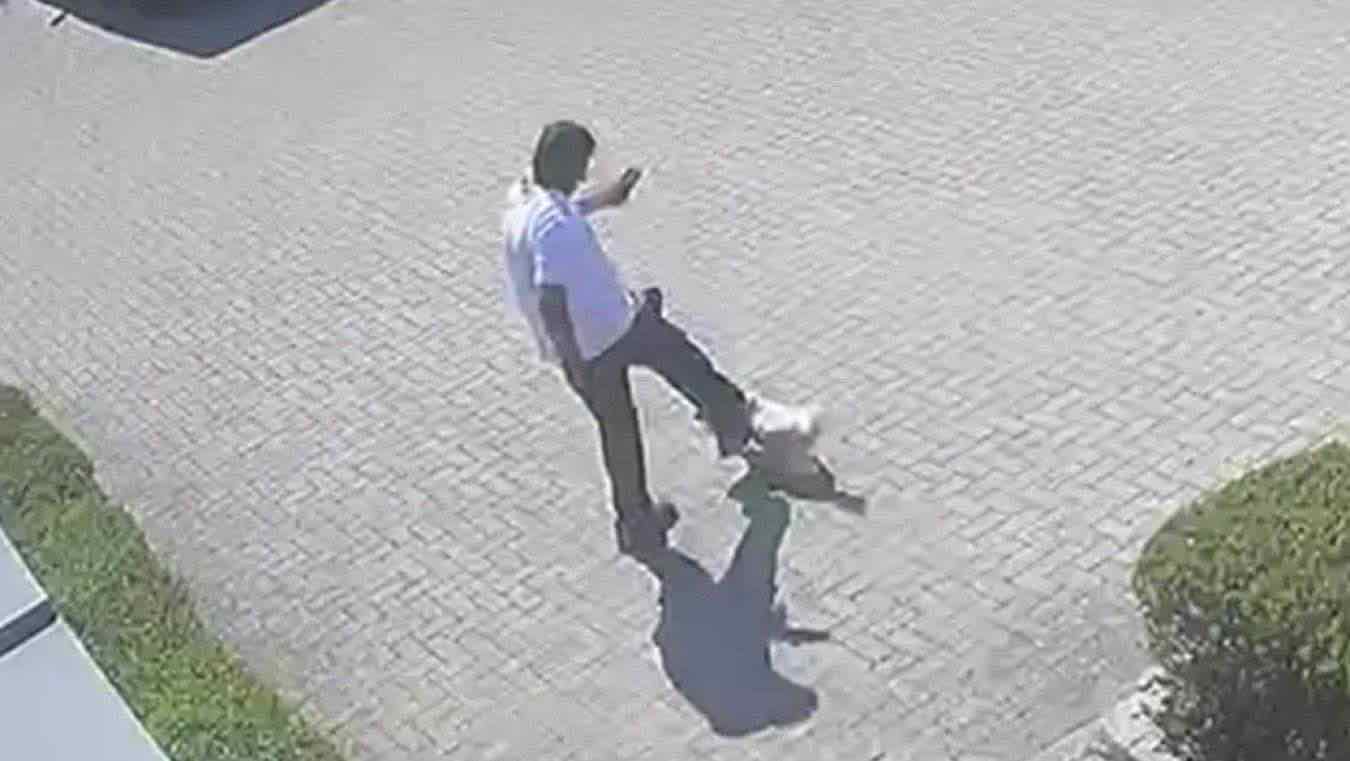 postino dà un calcio al cane