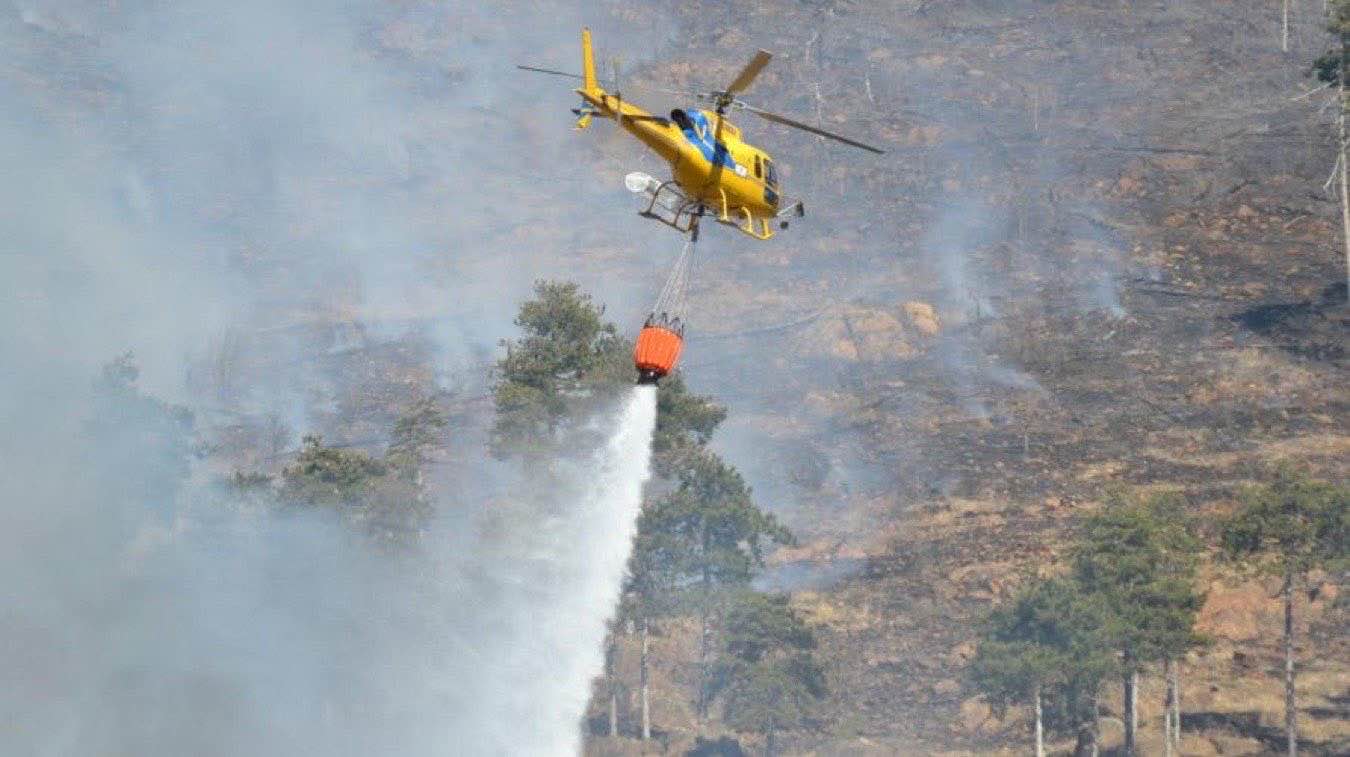 incendi foreste piemonte catastrofe ecologica