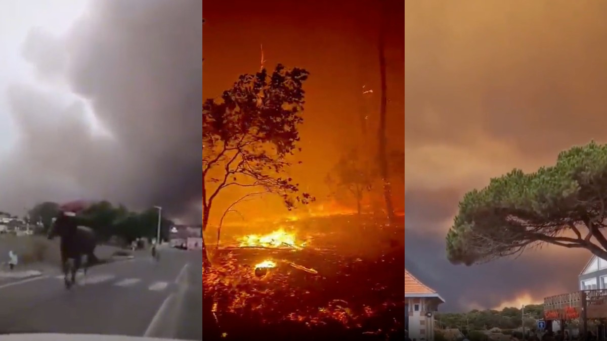 Incendi Sud Francia