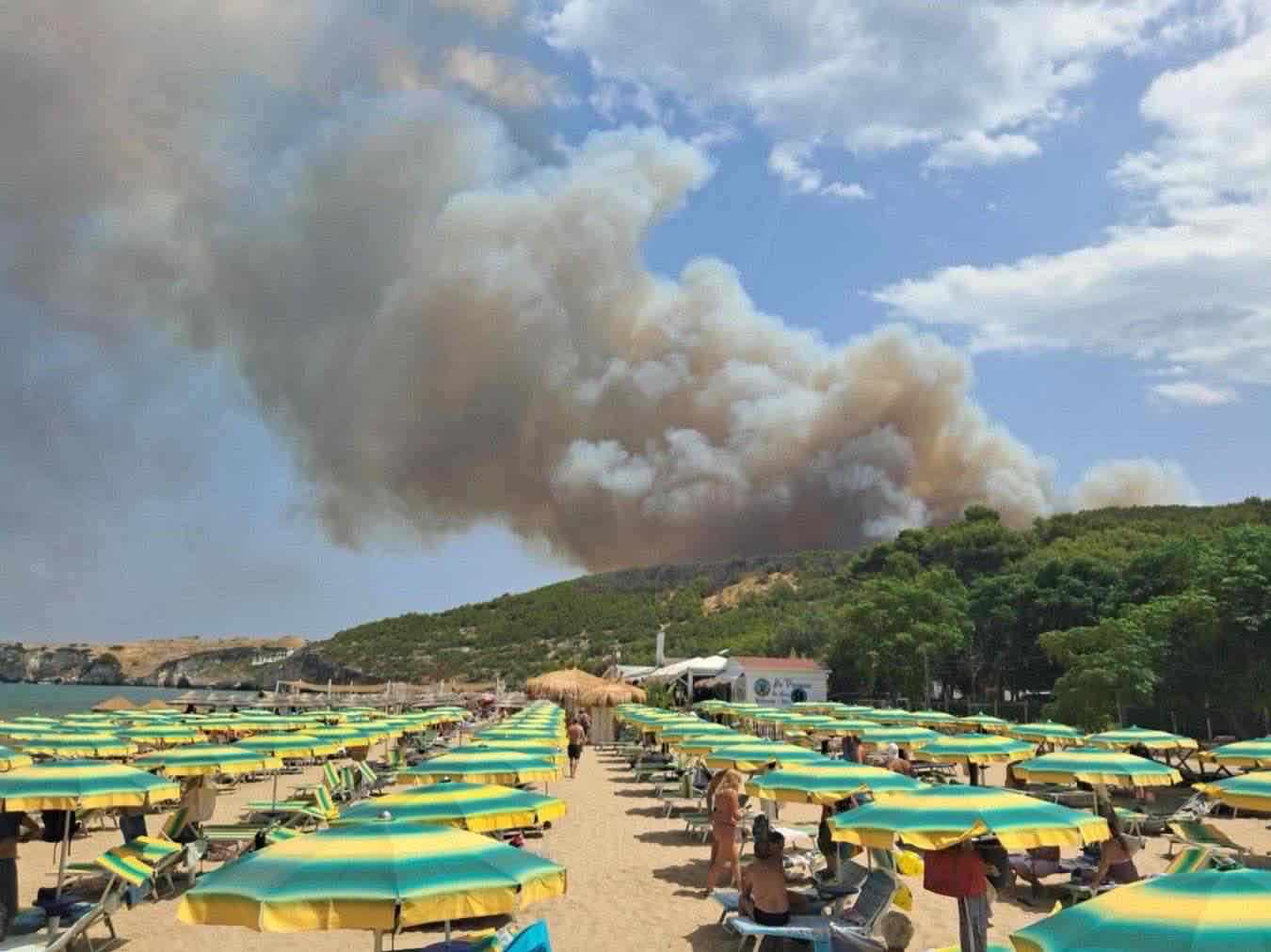 incendio gargano peschici evacuazione spiagge