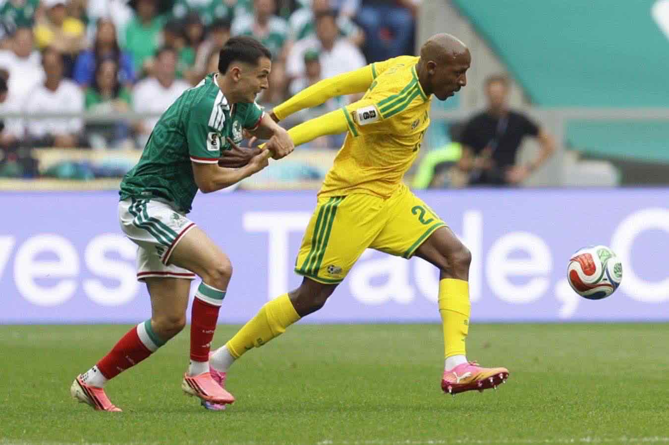 jayden-adams-sudafrica-morto