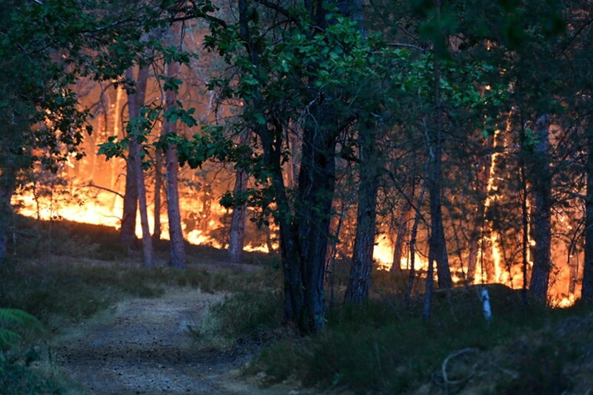 meteo previsioni oggi domani foresta fontainebleau incendio