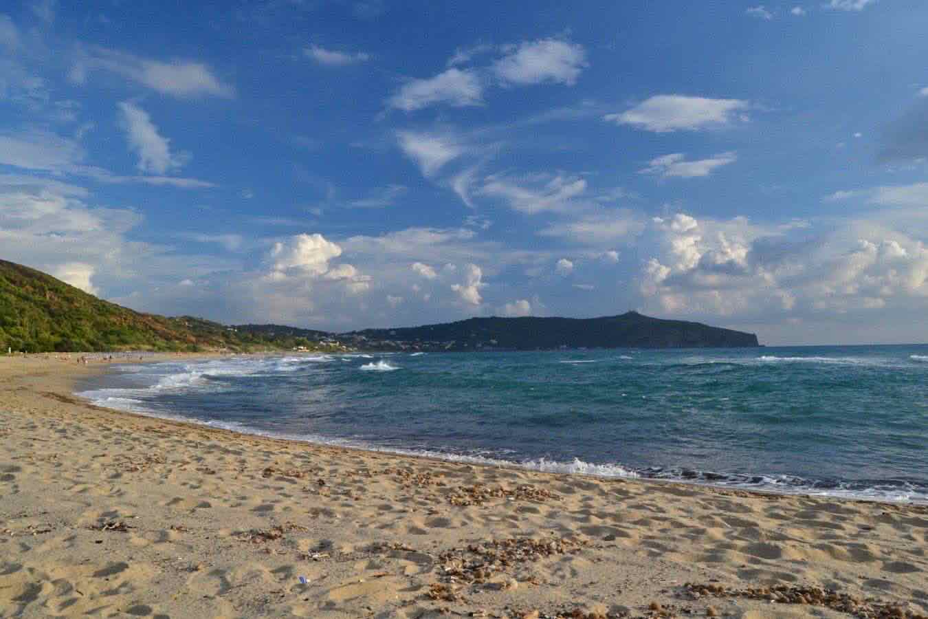 Immagine collegata al feed originale: I turisti morsi a sangue dai pesci a Palinuro, due casi in pochi giorni nel Cilento: «Perché reagiscono così»