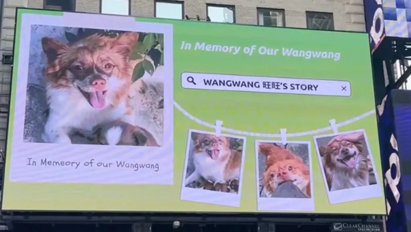 wang wang cina