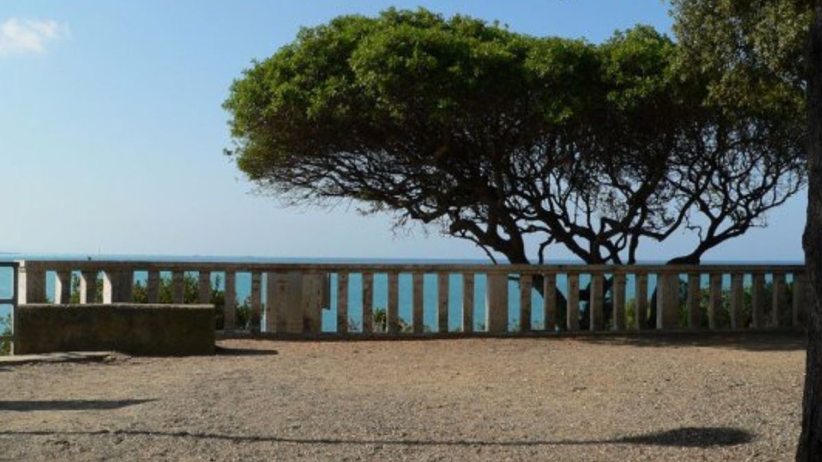 aggressione pineta castiglioncello