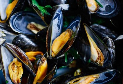 allevamenti cozze