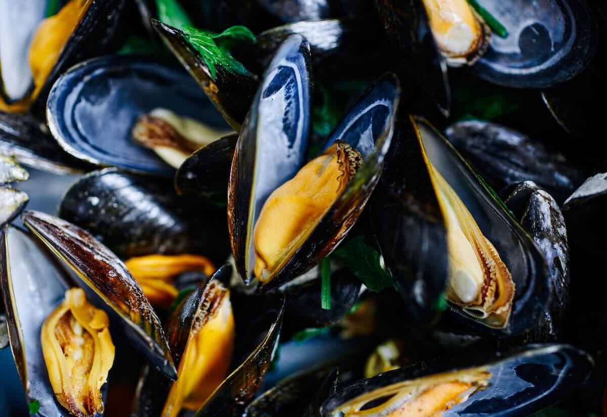 allevamenti cozze