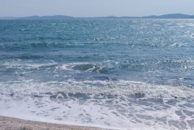 batterio mangiacarne Vibrio vulnificus