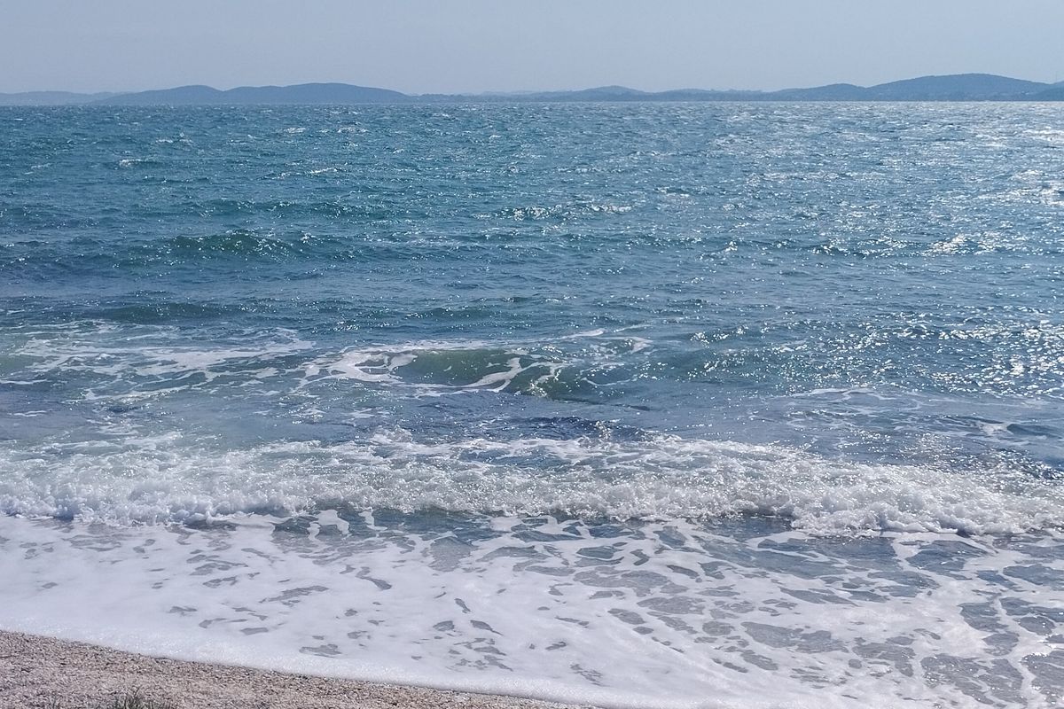 batterio mangiacarne Vibrio vulnificus