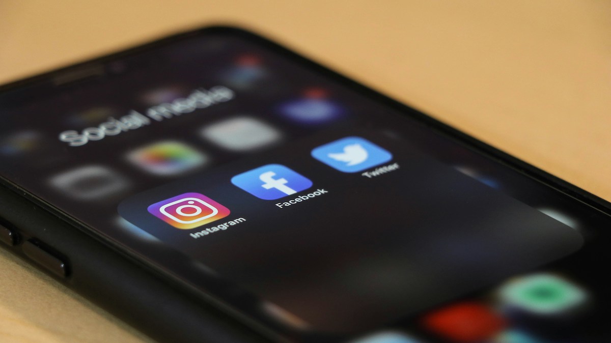 corte costituzionale francia divieto social media