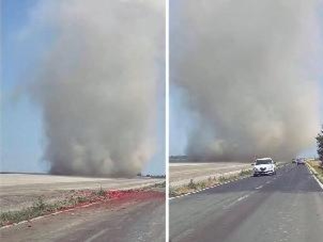 diavolo di sabbia foggia puglia