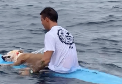 Il surfista diego jimenez saluta il suo cane Thai
