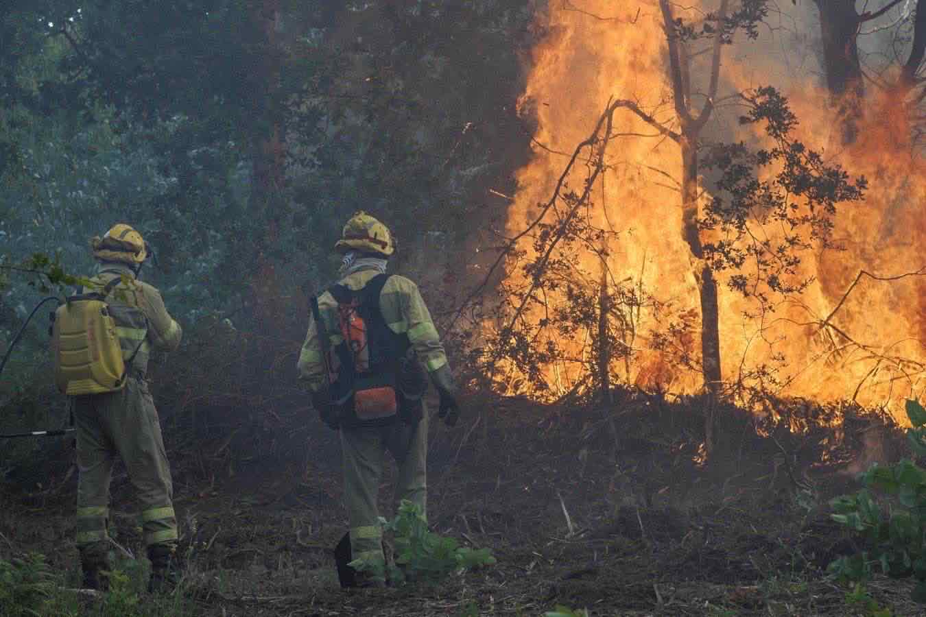 incendi-europa-estate-2026-costo