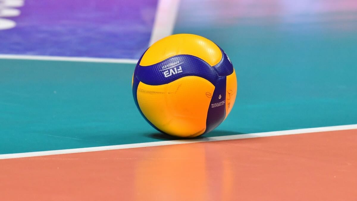 pallavolo steward licenziato ok
