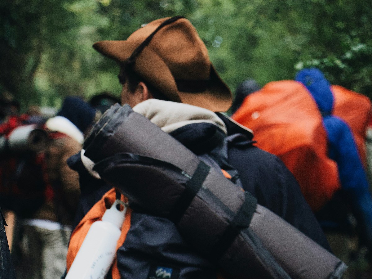 scout intossicati