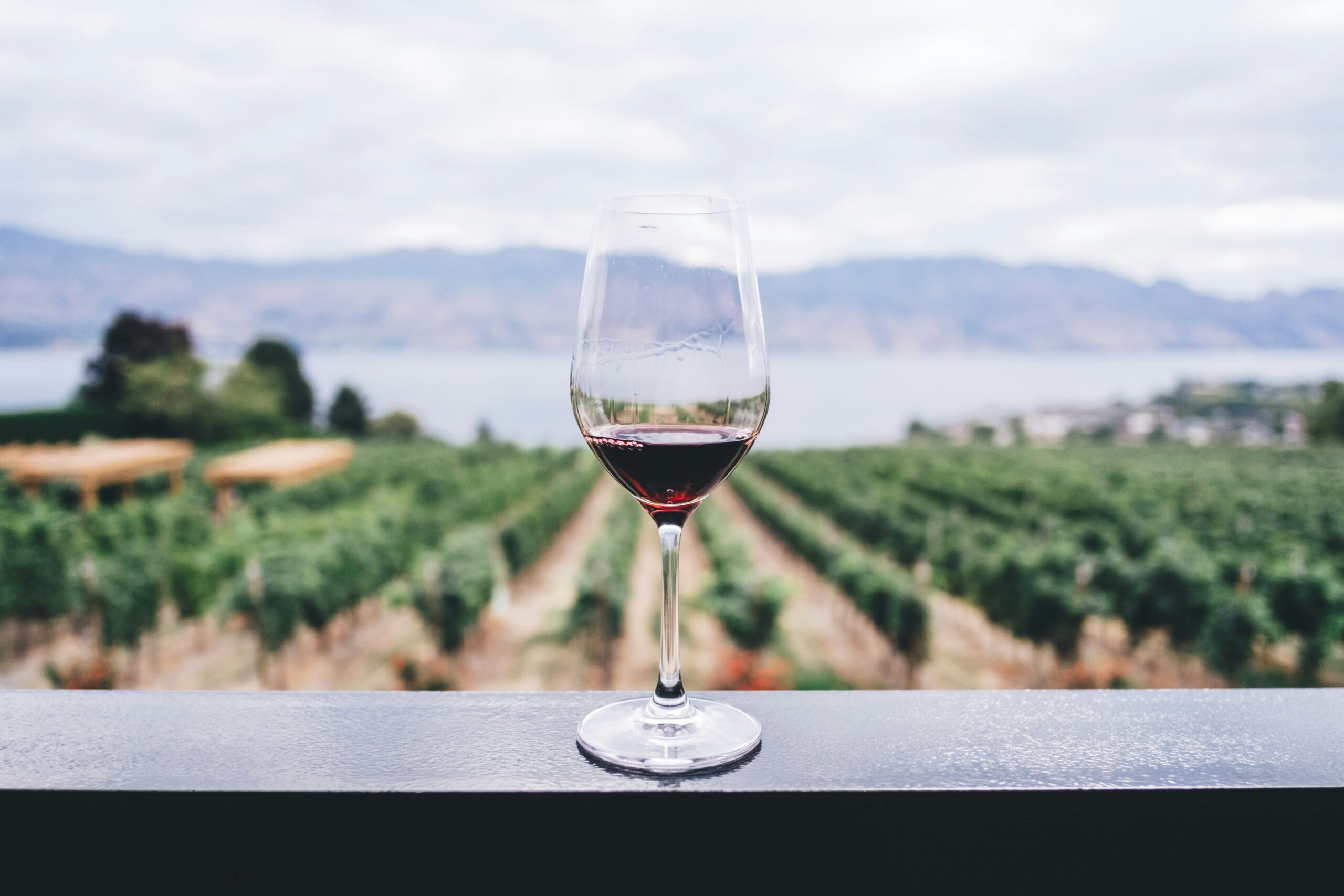 vendemmia 2026