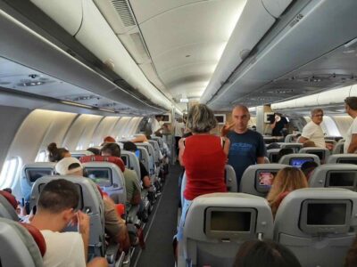 Api sul volo Madrid-Malpensa