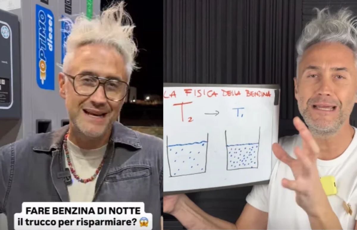 La spiegazione del professore Vincenzo Schettini