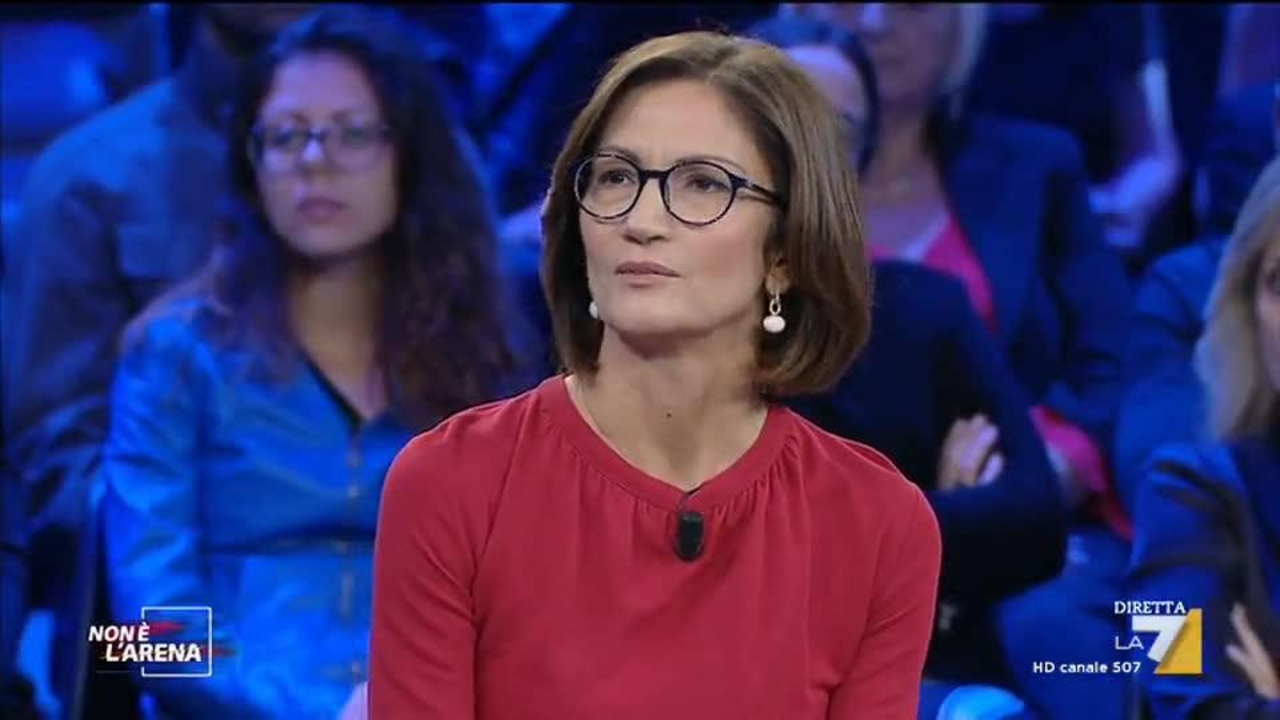mariastella gelmini roberto vannacci