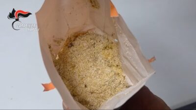 napoli insetti vermi cibo bambini comunità