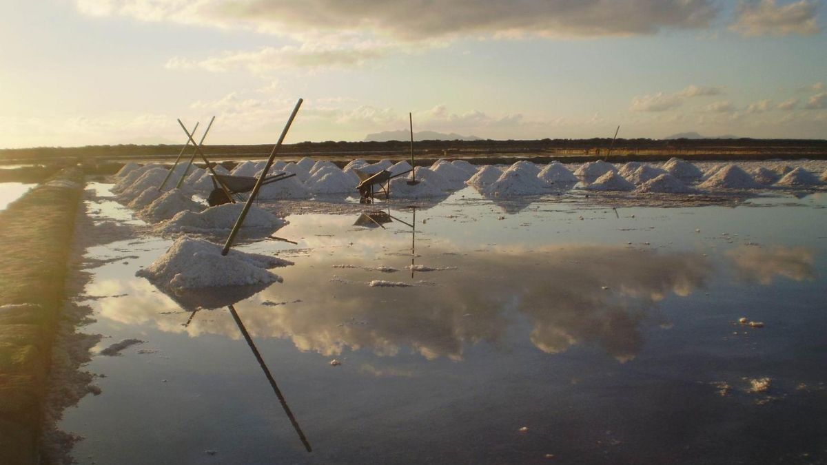 Le Saline di Sicilia candidate a Riserva della Biosfera Unesco