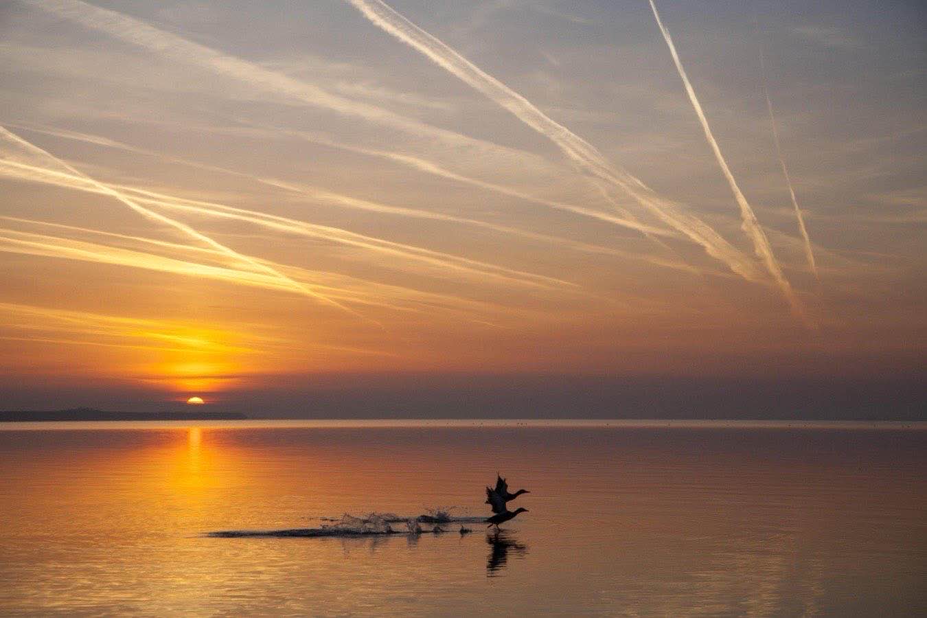 scie-chimiche-aerei-cambiamento-climatico-studio