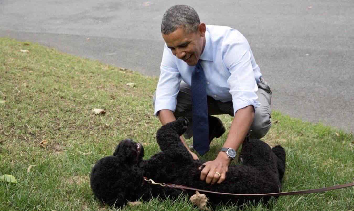 sunny e Obama