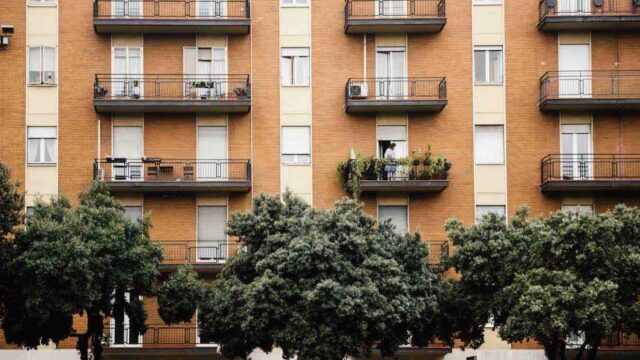 albero ostruisce la vista: abbattuto