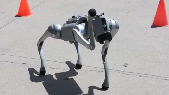 Iniziativa della Regione Veneto dei cani robot contro i lupi