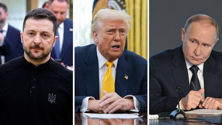 donald trump volodymyr zelensky vladimir putin